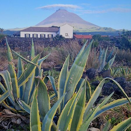 Solar Dos Limas Villa Criacao Velha Eksteriør billede